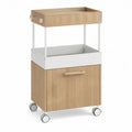 Carrinho de Bar com Armário e Rodas 60 x 45 x 105 cm em Carvalho Natural e Branco